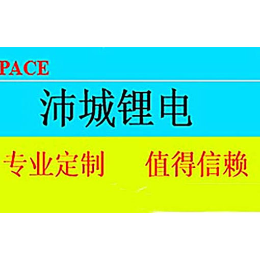 深圳厂家 定制巡检机器人电池 沛城按需定制